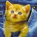 ���� ����, ������ - ��������� 4 ���� 2010 � ������ �������