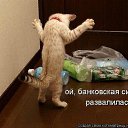 ���� ˸��, ����, 44 ���� - ��������� 26 ���� 2012 � ������ ������