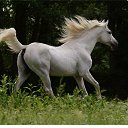 ���� ���������, �������, 44 ���� - ��������� 2 ���� 2011 � ������ �.�