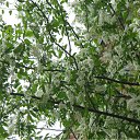 ���� ���� ����, ����������, 50 ��� - ��������� 19 ����� 2010 � ������ ������-2009�