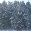 ���� �������, �������, 40 ��� - ��������� 1 ����� 2011 � ������ ���������� - ������������� " ������� "�