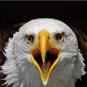 ���� ����, ������, 26 ��� - ��������� 25 ����� 2010 � ������ ���� ����������