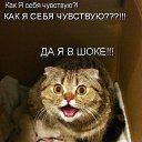 ���� �����, �����-���������, 59 ��� - ��������� 23 ���� 2013