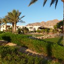 ���� ���, ������ - ��������� 26 �������� 2010 � ������ �������, ����-2010�