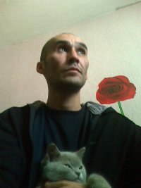 ����, �����������, 48 ���