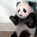 ���� �������, �����, 52 ���� - ��������� 10 ������ 2013 � ������ ���� ����������