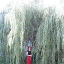 ���� ������, ������, 64 ���� - ��������� 12 ���� 2013 � ������ ���� ����������