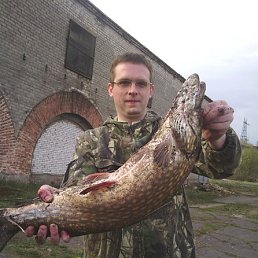 ������, �����-���������, 47 ���