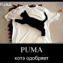 ���� �������, ������, 46 ��� - ��������� 18 ������� 2012