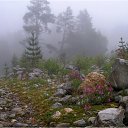 ���� �����, ����� - ��������� 24 ������ 2010 � ������ ��������