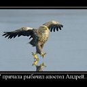 ���� ������, �����, 28 ��� - ��������� 11 ������ 2010 � ������ �������