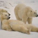 ���� �������, ������, 47 ��� - ��������� 5 ������ 2011