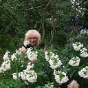 ���� ����, �������, 64 ���� - ��������� 19 ��� 2012 � ������ ���� ����������