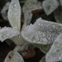 ���� Antey, ������, 44 ���� - ��������� 24 ���� 2013 � ������ ���� ����������