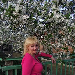 ���� ��������, ������-��-����, 60 ��� - ��������� 2 ������� 2013