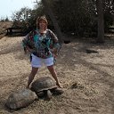 ���� ��������, ������ - ��������� 3 ���� 2013 � ������ ���� ����������