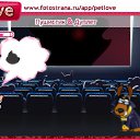 ���� ������, �����������-��-�����, 33 ���� - ��������� 14 �������� 2010 � ������ �PetLove�