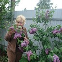 ���� �������, ������ ��������, 71 ��� - ��������� 24 ��� 2013 � ������ ���� ����������