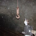 ���� ������, ������������, 41 ��� - ��������� 22 ��� 2009 � ������ �������� ������