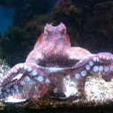 ���� �������, ������� ����, 64 ���� - ��������� 14 ������� 2011 � ������ �����������....�