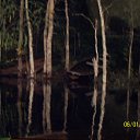  ***Anomaly***, - -  23  2011   