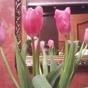 ���� Aleksandr, ���������, 46 ��� - ��������� 21 ������� 2009