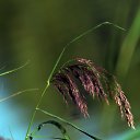 ���� ��������, ����, 65 ��� - ��������� 23 ������ 2013 � ������ ���� ����������