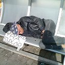 ���� An An, ���������, 49 ��� - ��������� 8 ���� 2013 � ������ ���� ����������