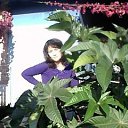 ���� �����, ������������, 61 ��� - ��������� 10 ������� 2013 � ������ ���� ����������