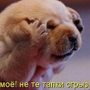 ���� �����, ������, 45 ��� - ��������� 18 ������� 2011 � ������ ����������� �����