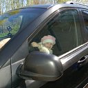 ���� ��������, �����-���������, 46 ��� - ��������� 23 ������� 2011 � ������ �2011�