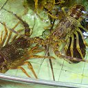  . .,  -  10  2012   ___ջ