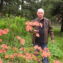 ���� ����, �����-���������, 62 ���� - ��������� 17 ������ 2012 � ������ ���� ����������