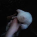 ���� ���4o���(�4-jb)������� �� �����, �����������, 28 ��� - ��������� 5 ������� 2011 � ������ ������....� ��� �� ���