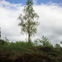  Serzh Van Der Maaremaan,  -  19  2010   ׸ 