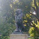 ���� ������� Neki, ����������-���������, 49 ��� - ��������� 25 ������� 2010 � ������ �������