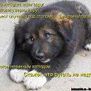 ���� ���������, ������, 40 ��� - ��������� 6 ������� 2010 � ������ ��������� ��������)))�