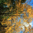 ���� ����, �����-���������, 56 ��� - ��������� 23 ������� 2012 � ������ ������ .������ ������