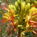 ���� �����, ������, 58 ��� - ��������� 3 ������ 2012