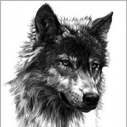  Nikita, , 32  -  13  2012