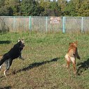 ���� Valya, ������, 36 ��� - ��������� 23 ������� 2010 � ������ ����� ������ ��� ����� �������� ����������