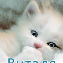 ���� ������, ����������, 44 ���� - ��������� 8 ������� 2012