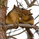 ���� ������, ��������, 63 ���� - ��������� 26 ������� 2011 � ������ ���� ����������