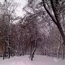 ���� ����, ������� - ��������� 8 ��� 2013 � ������ ���������� ����