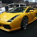 ���� Vladimir, ����������� - ��������� 8 ����� 2010 � ������ ����������� ����