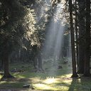 ���� �����, ������������, 32 ���� - ��������� 29 ������� 2011 � ������ �������