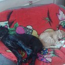 ���� � ����... �� ������� ����� ��� ������������