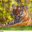 ���� ��������, ������, 22 ���� - ��������� 22 ���� 2012 � ������ �������