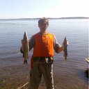 ���� ������, ��������, 38 ��� - ��������� 31 ��� 2011 � ������ ��� 2010�