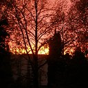  , , 66  -  29  2011   ,